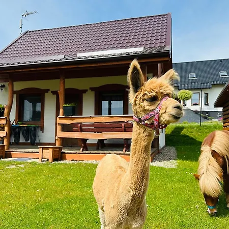 ロッジ Eden 1 Kaszuby Balia Sauna Alpaki Mini Zoo シンバルク