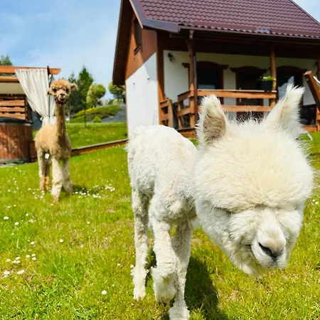 Domki Eden Z Balia I Sauna Lodge