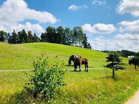 Eden Z Balia I Sauna