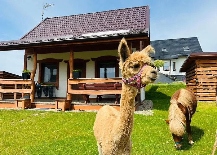 Lodge Eden Z Balia I Sauna Szymbark (Pomerania)